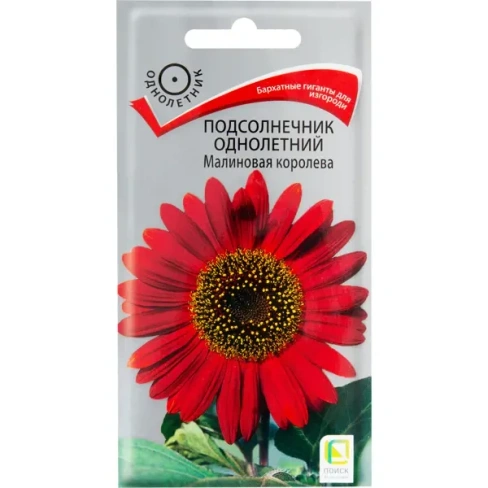 Подсолнечник однолетний «Малиновая королева»