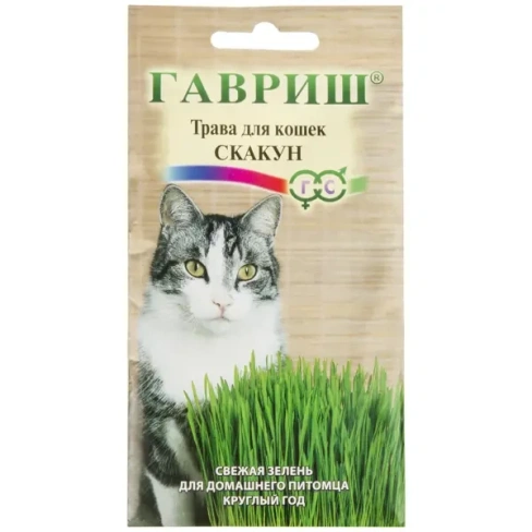 210916327 Семена травы для кошек «Скакун»