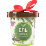Ель в горшке HAPPY PLANT