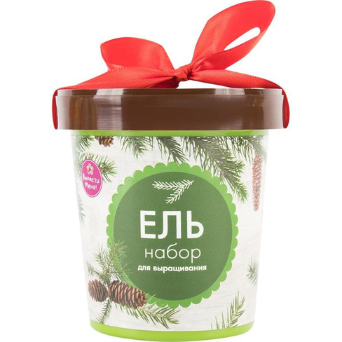 Ель в горшке HAPPY PLANT
