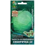 Семена Капуста белокочанная «Сибирячка» 60 ПОИСК