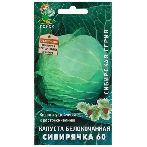 210937314 Семена Капуста белокочанная «Сибирячка» 60 ПОИСК