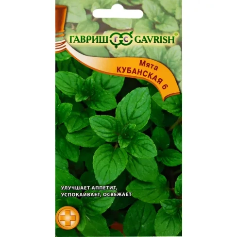 Семена Мята перечная «Кубанская» ГАВРИШ