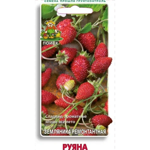 Семена Земляника ремонтантная «Руяна»