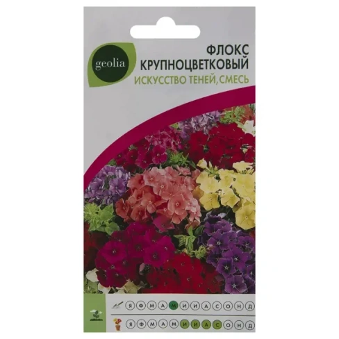 210941524 Флокс Geolia «Искусство теней» смесь окрасок GEOLIA