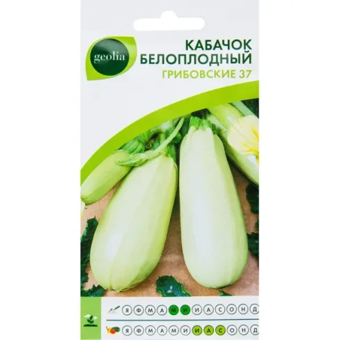 210941604 Семена Кабачок белоплодный Geolia «Грибовский» 37 GEOLIA
