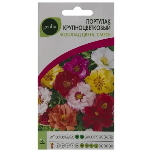210941646 Портулак Geolia «Водопад цвета» смесь окрасок GEOLIA