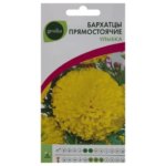 Бархатцы Geolia прямостоящие «Улыбка» GEOLIA