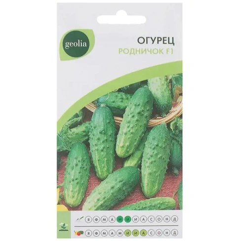 210941651 Семена Огурец Geolia «Родничок» F1 GEOLIA