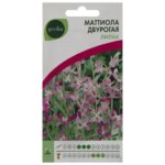 Маттиола двурогая Geolia «Лилак» GEOLIA