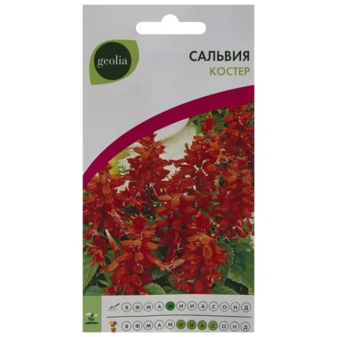 210941681 Семена цветов Сальвия Костёр красная Geolia GEOLIA