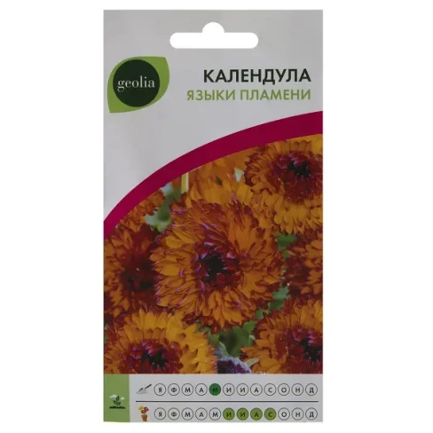 Календула Geolia «Языки пламени» GEOLIA