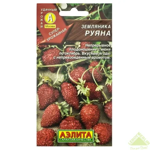Семена Земляника «Руяна альпийская» АЭЛИТА