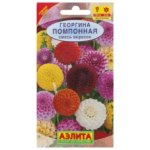 Георгина помпонная смесь окрасок АЭЛИТА