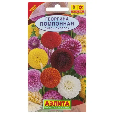 Георгина помпонная смесь окрасок АЭЛИТА