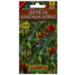 Дереза обыкновенная (ягода Годжи) «Красный алмаз» АЭЛИТА