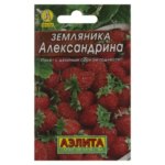 Семена Земляника «Александрина» (Лидер) АЭЛИТА