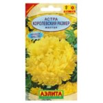 Астра жёлтая «Королевский размер» АЭЛИТА