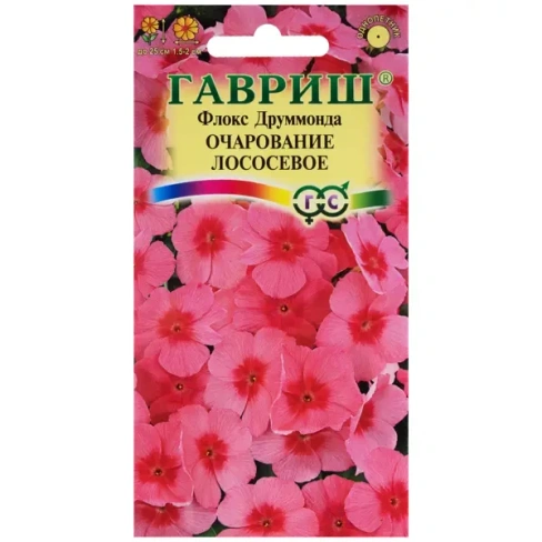 Флокс «Очарование лососёвое»