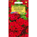 Флокс «Очарование красное Друммонд»