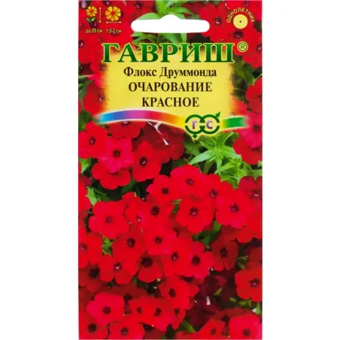 Флокс «Очарование красное Друммонд»