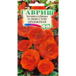 Бегония гранулированная «Нон-стоп» оранжевая