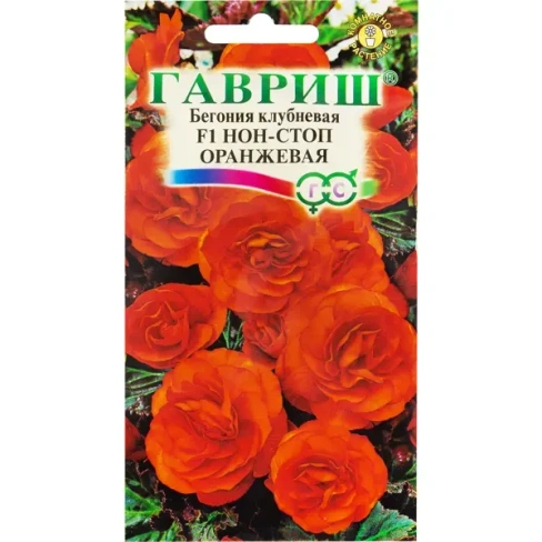 Бегония гранулированная «Нон-стоп» оранжевая
