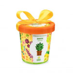 Горшок «Фикус райский» HAPPY PLANT