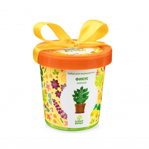 Горшок «Фикус райский» HAPPY PLANT