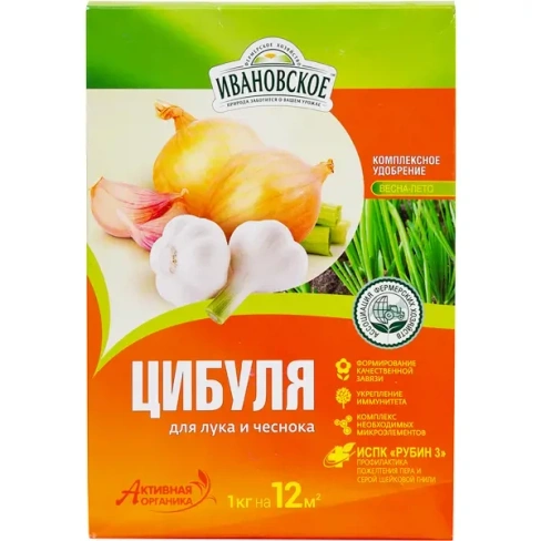 Цибуля ФХИ