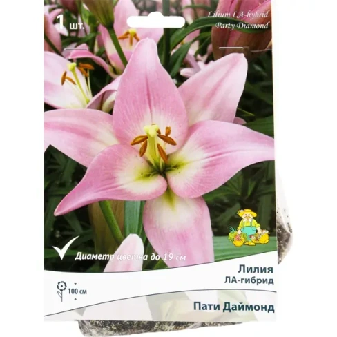 211005588 Лилия ЛА-гибрид «Пати Даймонд»