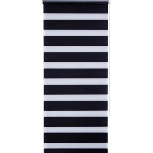 Штора рулонная день-ночь Miamoza Silver 100x160 см