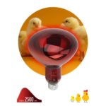 Инфракрасная лампа Эра для животных ИКЗК Е27 220-250 Вт R127 ЭРА