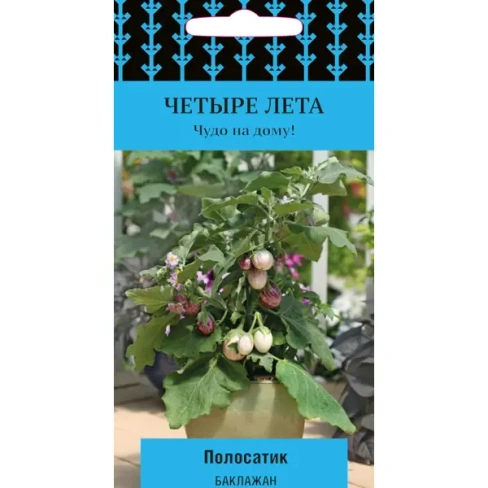 488688353 Семена Баклажан «Полосатик (А)» ПОИСК