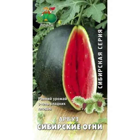 Семена Арбуз Сибирские огни Поиск ПОИСК