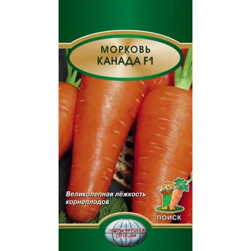 488689033 Семена Морковь Канада F1 Поиск ПОИСК