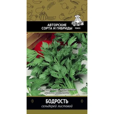 488689056 Семена Сельдерей листовой Бодрость Авторские сорта Поиск ПОИСК