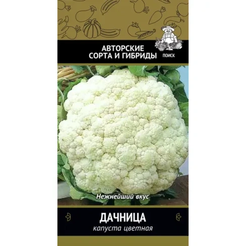 488689057 Семена Капустаная Дачница серия Авторские сорта Поиск ПОИСК