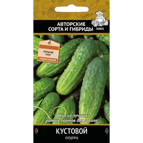 488689080 Семена Огурец «Кустовой» ПОИСК