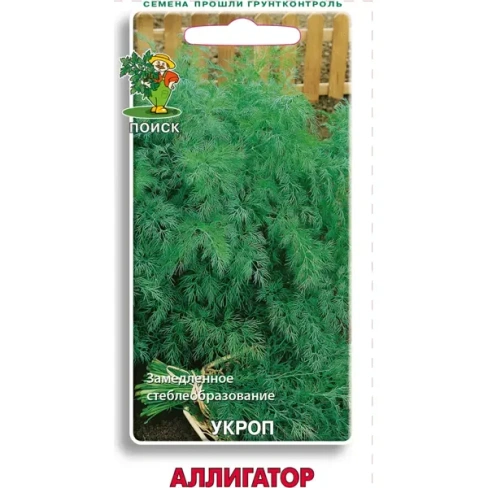 Семена Укроп Поиск «Аллигатор» ПОИСК