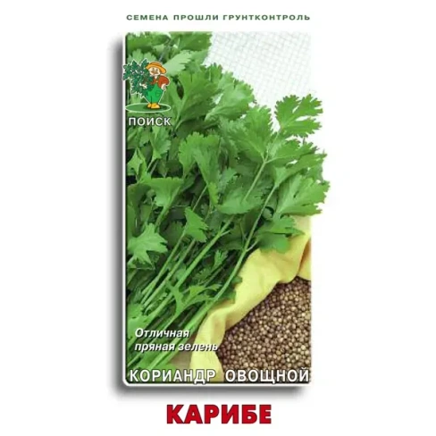 488689278 Семена Кориандр Карибе Поиск ПОИСК