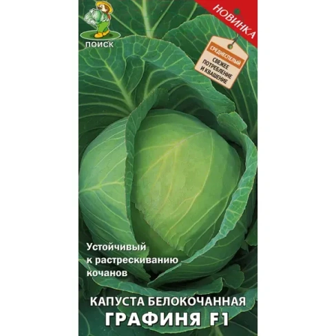 488689309 Семена Капуста белокочанная «Графиня» F1 ПОИСК