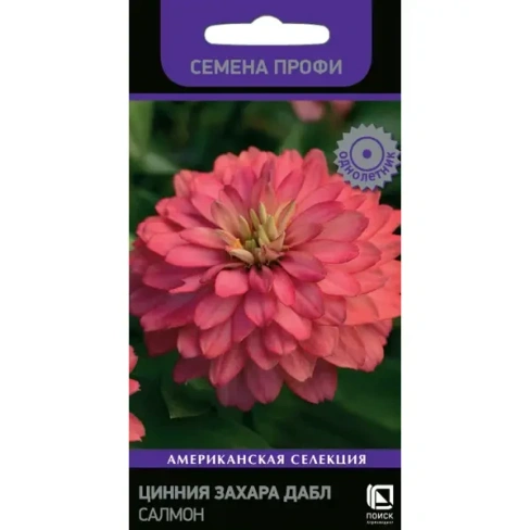Циния Захара Дабл Салмон 5 шт. ПОИСК