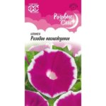 Ипомея Розовое наслаждение серия Розовые сны 0.3 г ГАВРИШ