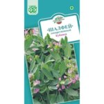 Шалфей лекарственный Кубанец 0.3 г ГАВРИШ