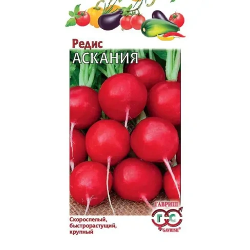 488692405 Семена Редис Аскания ГАВРИШ