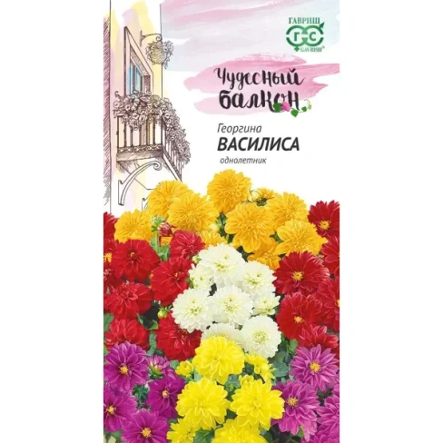 Семена Георгина Василиса ГАВРИШ