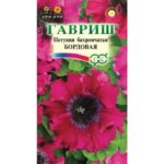 Семена Петуния бахромчатая бордовая ГАВРИШ