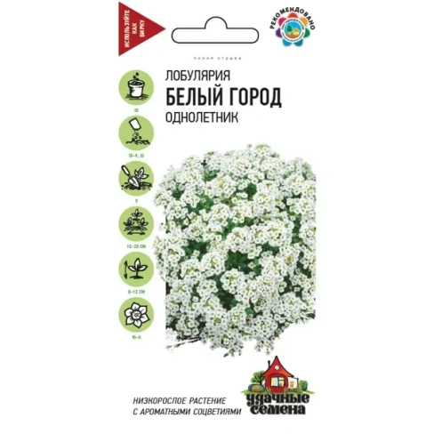 Семена Лобулярия Белый город ГАВРИШ