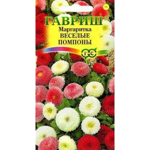 Семена Маргаритка Весёлые помпоны ГАВРИШ